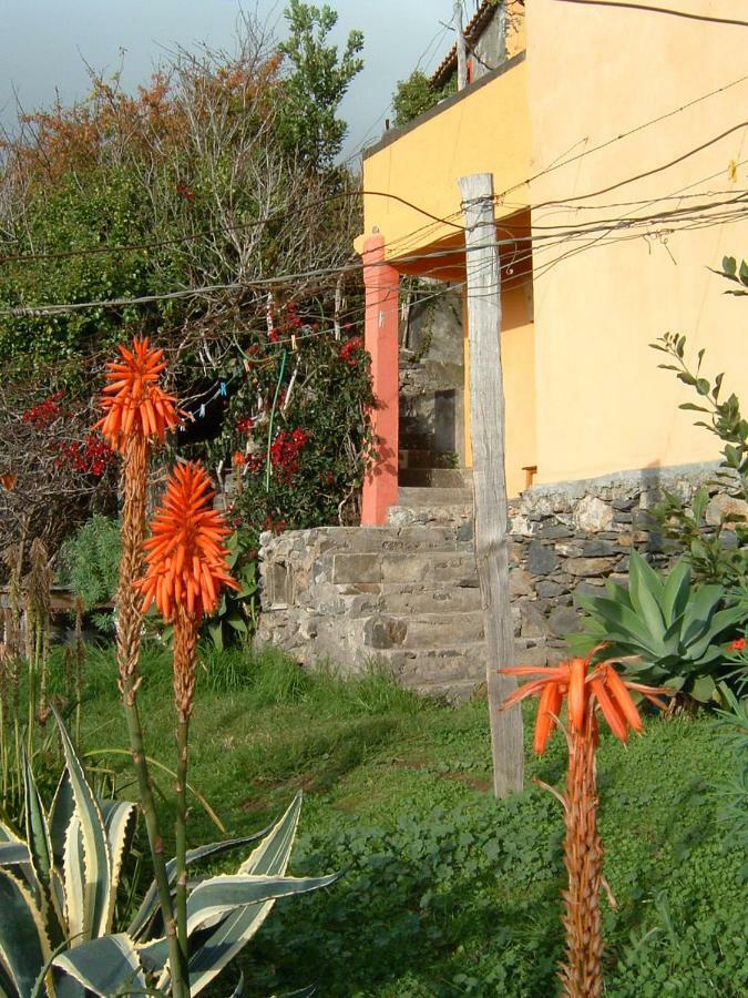Madeira-Meerblick-Haus Estreito Da Calheta Exterior foto